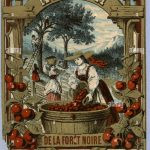 История этикетки