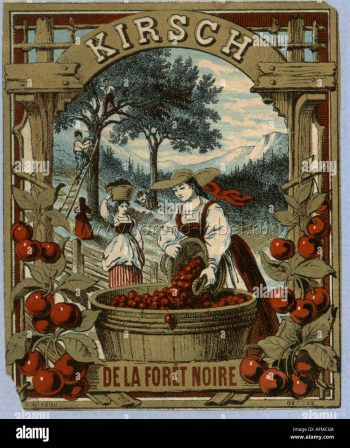 История этикетки