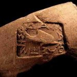 История этикетки