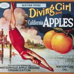 История этикетки