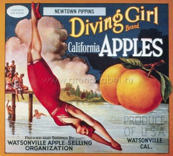 История этикетки